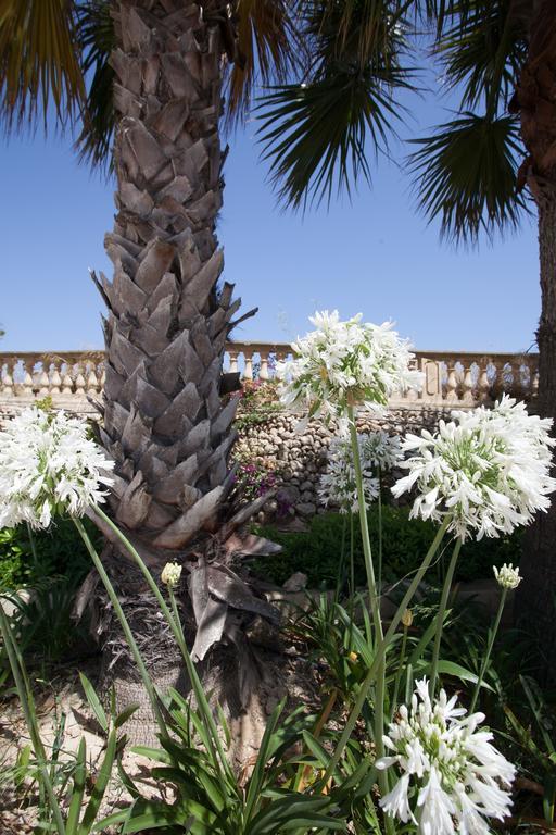 Villa Bernardette Xagħra Esterno foto